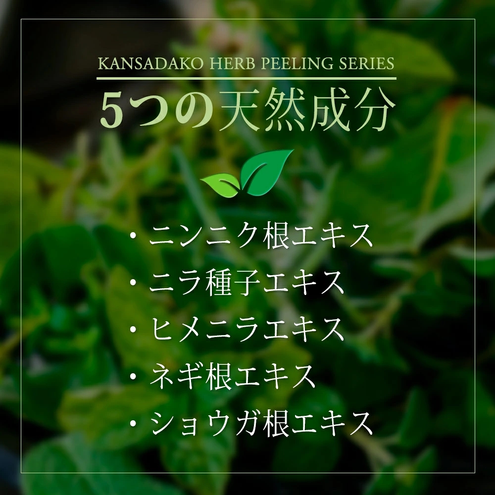 菅貞子ハーブピーリングシリーズ　ビービークリーム